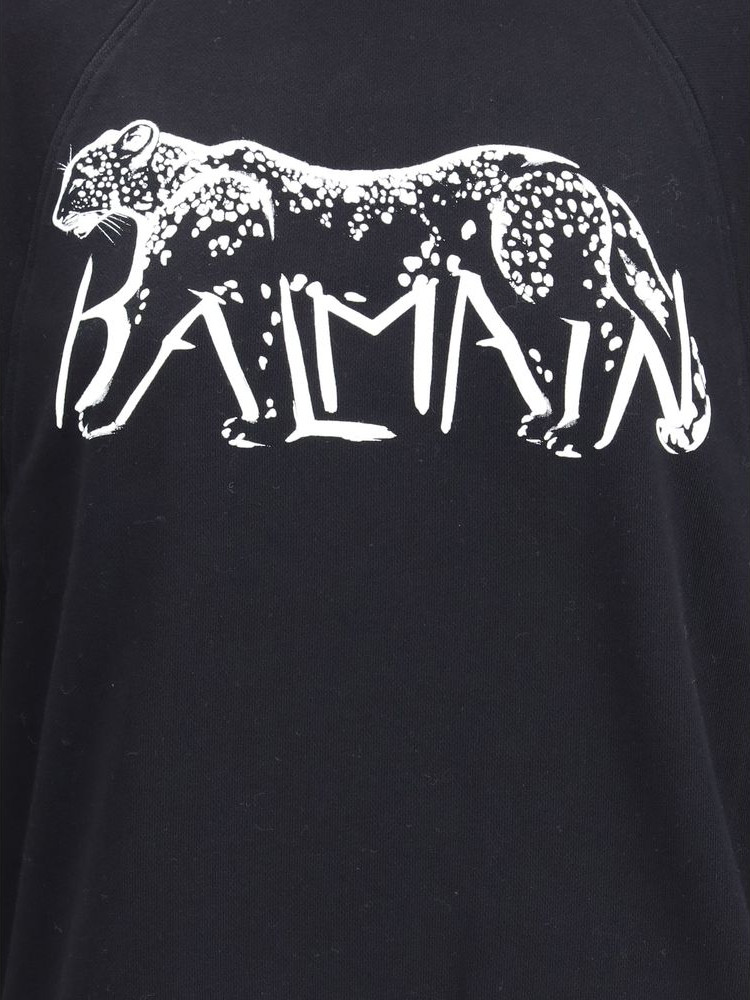 Balmain sweatshirt