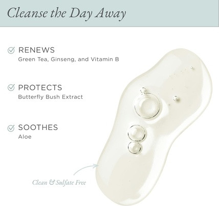 Gentle Facial Cleanser Pur Cosmetics Forever Clean