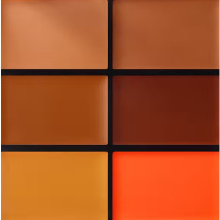 Concealer Palette MAC Cosmetics