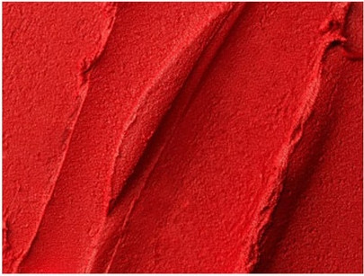 Lipstick L'Oreal Professional CLIO Tension