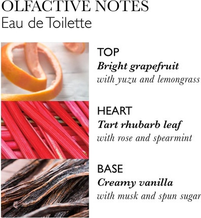 Eau de Toilette Molton Brown Delicious Rhubarb & Rose