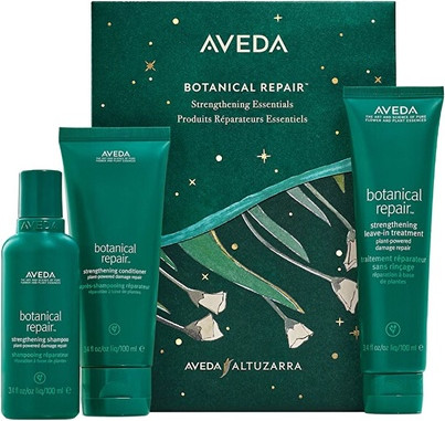 Hair Care Set Aveda Botanical Repair