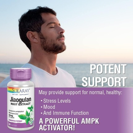 Vegetable Capsules Solaray