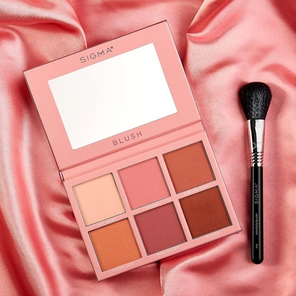 Powder Brush Sigma Beauty Professional F10