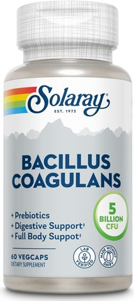 Пробиотик Bacillus Coagulans, Устойчивый к Хранению, Поддержка Всего Организма