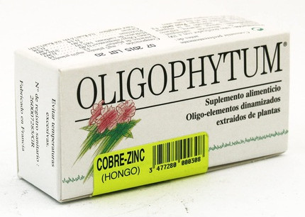 Oligophytum Misol Qalay Rux
