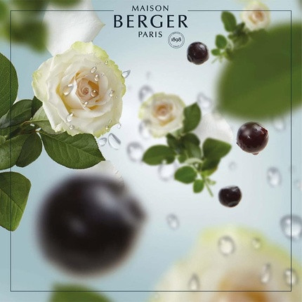 Room Fragrance Refill Lampe Berger