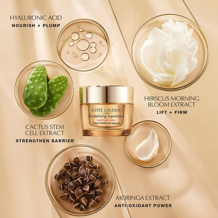 Skincare Gift Set Estee Lauder Youth Keepers Unwrapped Lift Firm Glow
