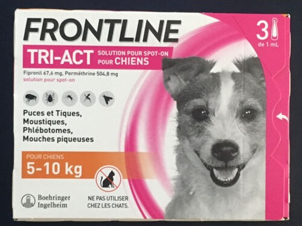Fleas and Ticks Treatment