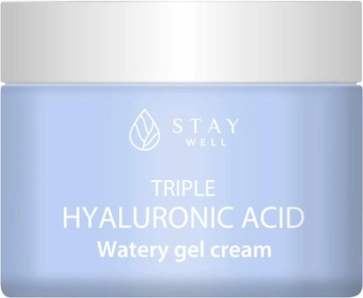 Waterly Gel Cream Stay Well