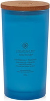 Chesapeake Bay Candle Tumbler Large Scented Candle
