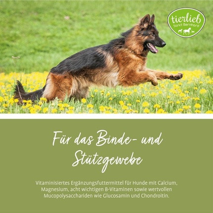 Capsules Sanct Bernhard Joint Friend Dog