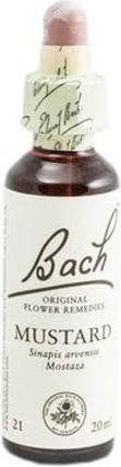 Bach-Konzentrat Senf