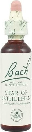 Flower Remedies Bach Original Flower Remedies Star of Bethlehem