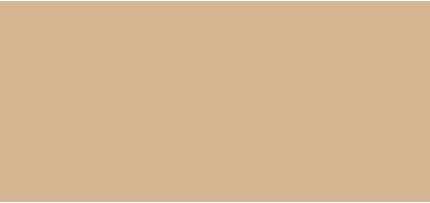 Concealer Lancome Teint Idole Ultra Wear All Over Concealer