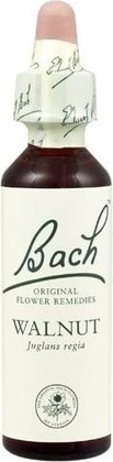 Bach Original Flower Remedies Walnut
