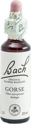 Концентрат Цветочный BACH AULAGA Flow