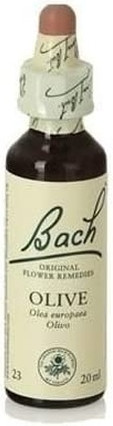 Remedy Florais de Bach Olive F.B. Original Bach Flowers