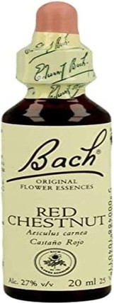 Florais de Bach Bach gulli vositalari