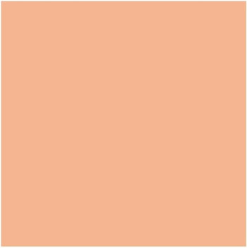 Concealer MAC Cosmetics Mineralize