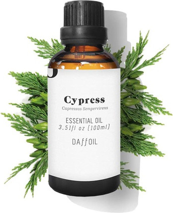 Essential Oil Daffodil Essential Oil Cypress