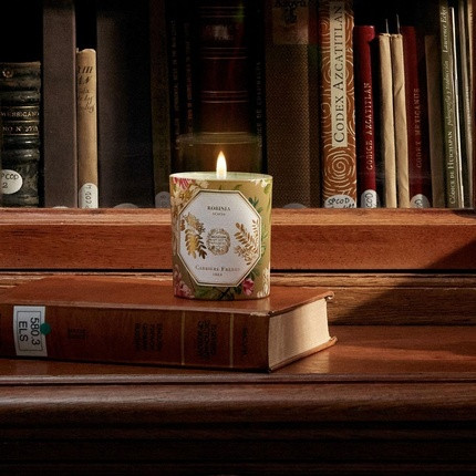 Candle Cariaire Freres Acacia Robinia