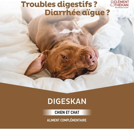 Oral Paste Clement Thekan