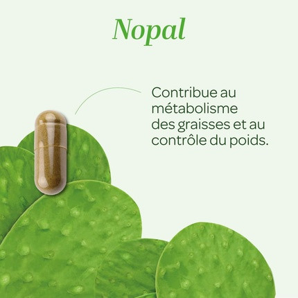 Phytotherapy Superdiet Weight Control Superdiet Nopal Bio