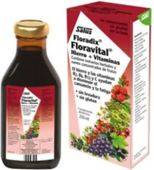 Eisen-Supplement Salus