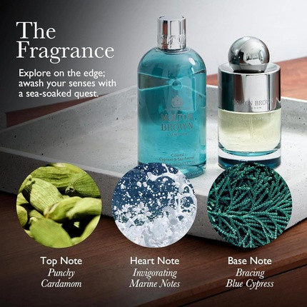 Body Cream Nachfüllbar Molton Brown Coastal Cypress & Sea Fennel