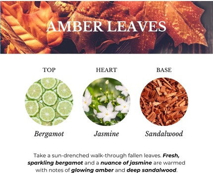 Ароматизатор для дома Ashleigh & Burwood Amber Leaves