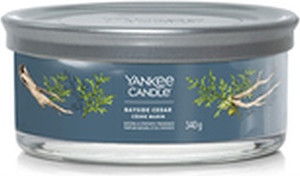 Восковая свеча в стакане Yankee Candle Bayside Cedar