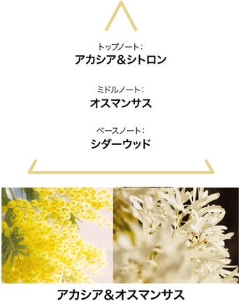 Eau De Toilette Le Couvent Maison De Parfum Aqua Majestae