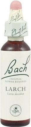 Flower Remedy Bach