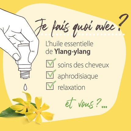 Эфирные масла Pranarom Les Diffusables Bien Chez Soi