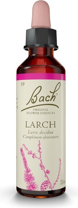 Flower Essences Bach Original Bach Flowers Larch No. 19 for More Safety