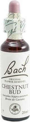 Продукт Florais de Bach Flores De Bach Original Chestnut Bud