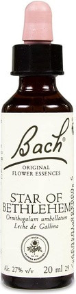 Milch Bach-Blüten 29 Florais de Bach