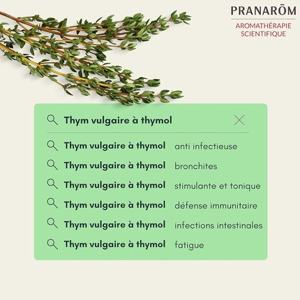 Ätherisches Öl Pranarom Thymol Thymian