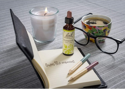 Remedy Bach Original Flower Remedy Clematis Vegan Formula