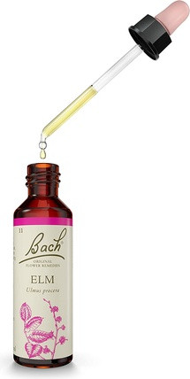 Flower Essences Bach Original Flower Remedy Elm