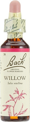 Flower Essence Nelsons Willow