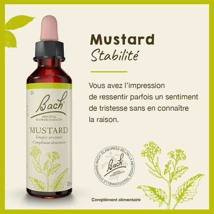 Remedy Fleurs De Bach Mustard