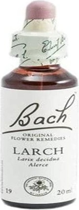 Flower Essence Bach Larch