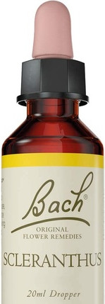Flower Essence Nelsons Oak