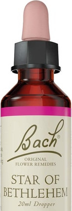 Concentrate Nelsons Bach Flower Pine