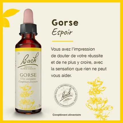 Mood Preparation Fleurs De Bach Bach Flowers Original Gorse No. 13 for More Hope
