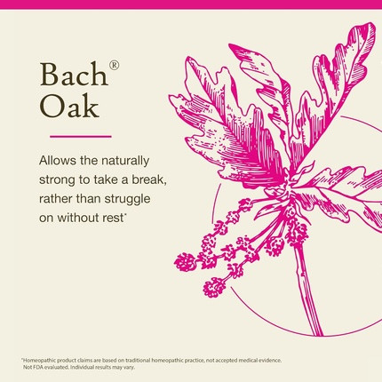 Bach Original Flower Remedies Oak - Wiederherstellung von Ausdauer