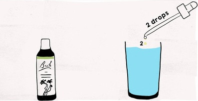 Flower Remedies Nelsons Original Bach