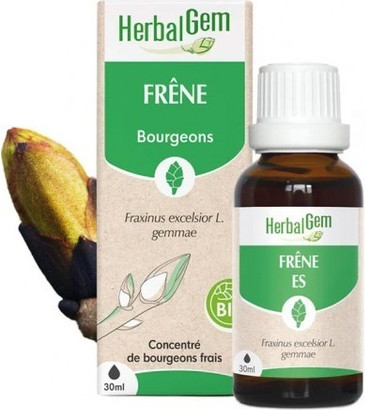 Herbalgem Bio-Esche Produkt